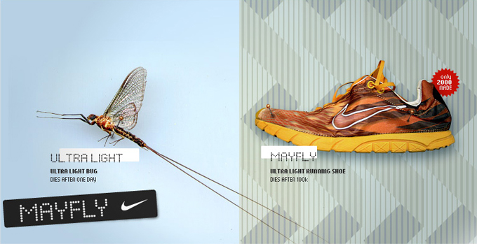mayfly nike trainers