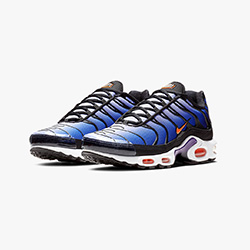 nike air max 95 carhartt wip