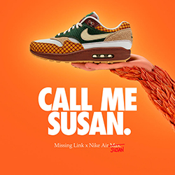 missing link x nike air max 1 susan