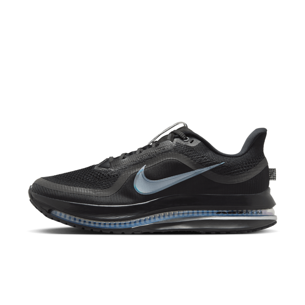 Nike Pegasus Premium Black Metallic Silver